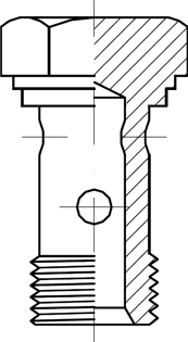 tornillo-hueco-bsp_569